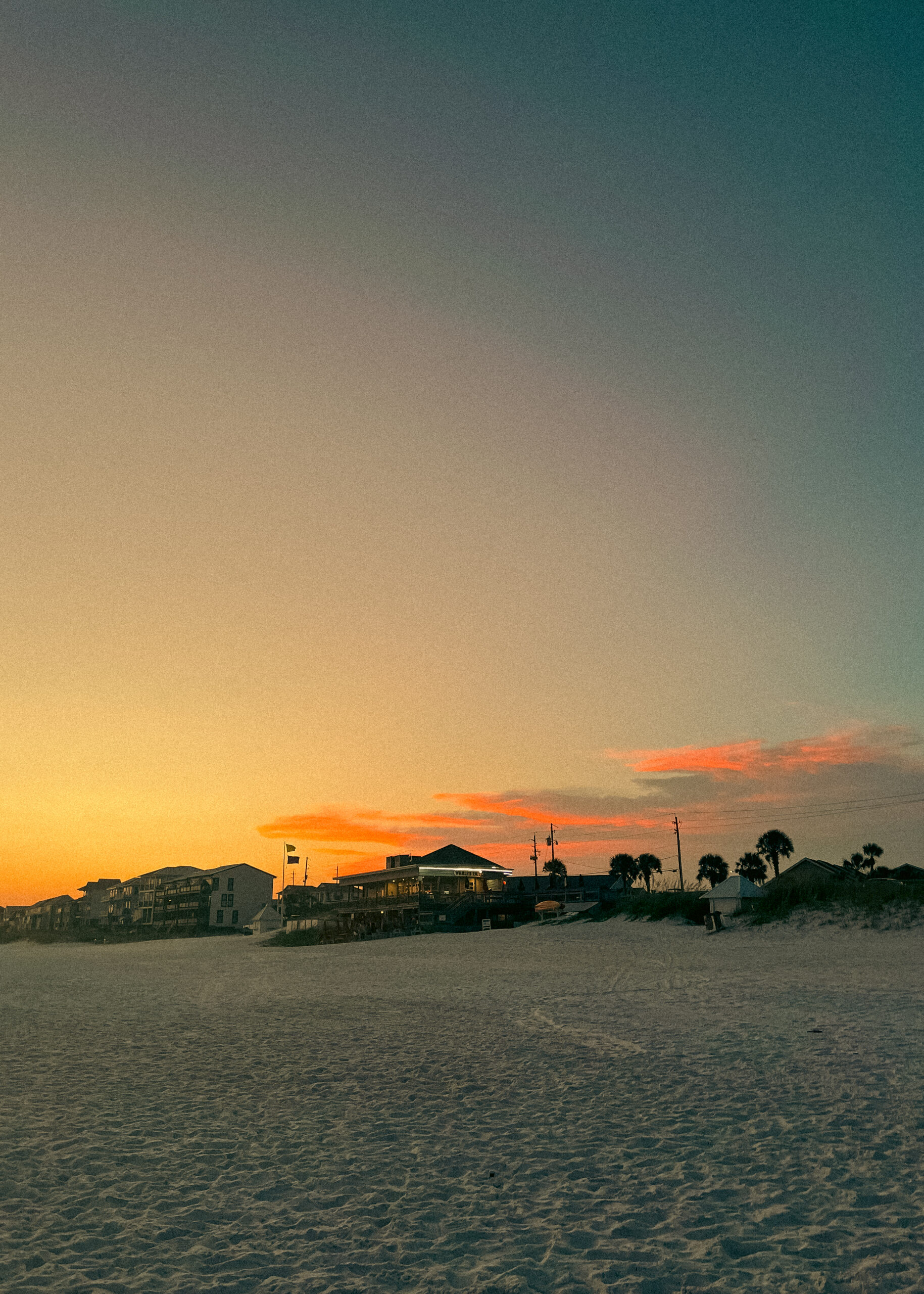 florida_elopement_photographer